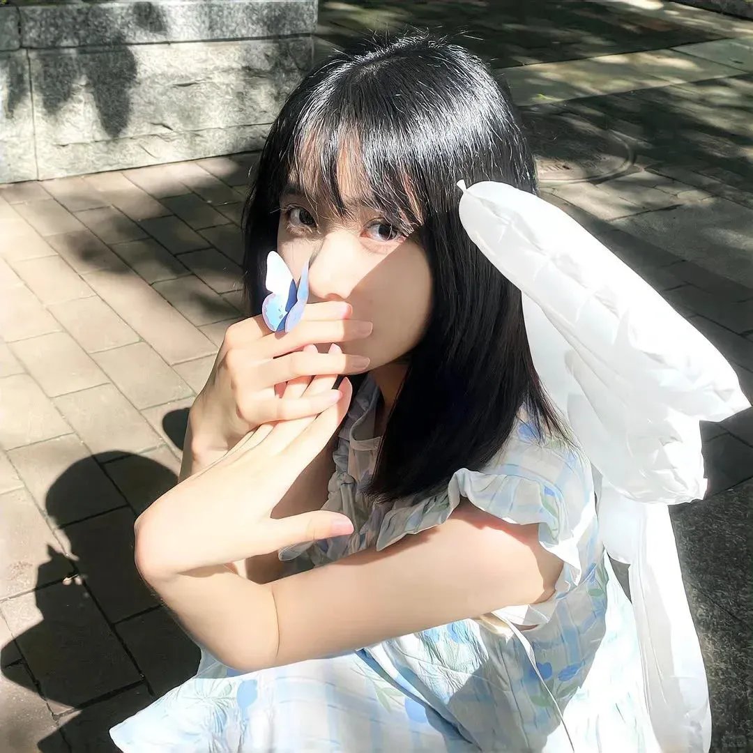 会飞的驴